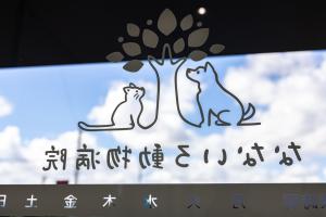 焼津市　なないろ動物病院様の写真