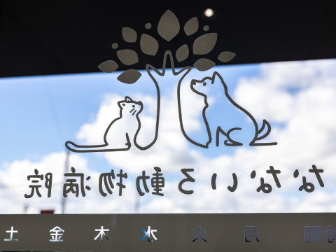 焼津　なないろ動物病院様の写真