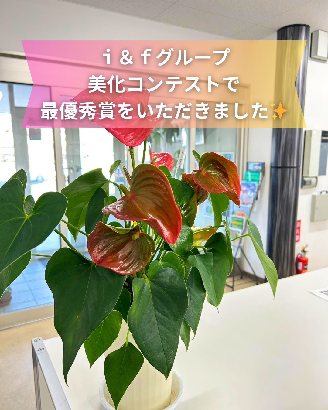 �������O���[�v�����R���e�X�g�ōŗD�G�܂����������܂����I